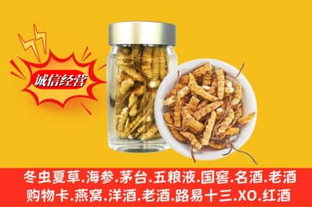 张家港市回收散虫草