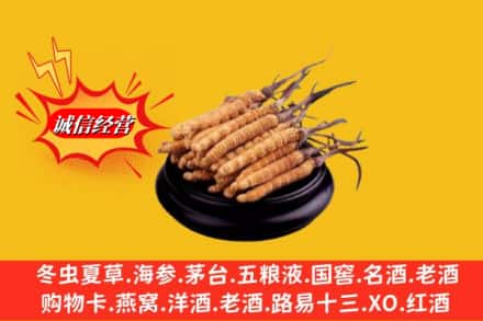 张家港市求购回收虫草多少钱每克